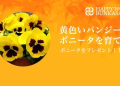 HAPPY WOMAN
