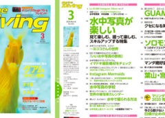 ⽉刊『マリンダイビング』2020年3⽉号