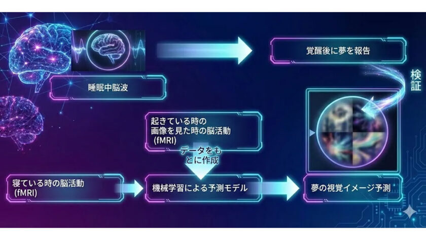 映画『パプリカ』から考える「夢の可視化」と「夢への干渉」-DCミニはどこまで実現可能なのか？｜HAPPY WOMAN ACADEMY