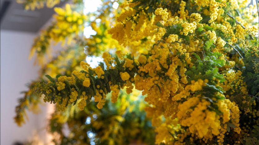 【新さっぽろ会場】HAPPY WOMAN FESTA 2026 HOKKAIDO