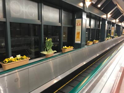 HAPPY WOMAN FESTA YEBISU 2018