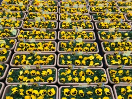 HAPPY WOMAN FESTA 2018