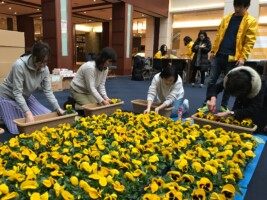 HAPPY WOMAN FESTA 2018