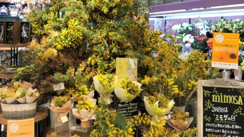 HAPPY WOMAN FESTA 2018