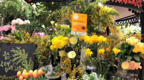 HAPPY WOMAN FESTA 2018