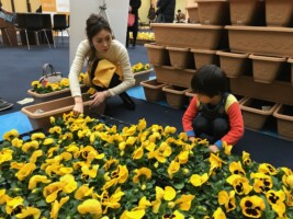 HAPPY WOMAN FESTA 2018