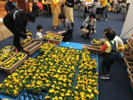 HAPPY WOMAN FESTA 2018