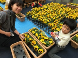 HAPPY WOMAN FESTA 2018