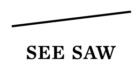 SEE SAW